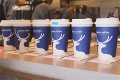 加盟瑞幸咖啡怎么样？开店8个月就能收回成本