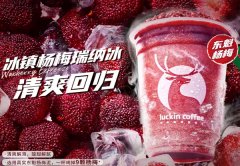 新手加盟瑞幸咖啡注意事项，2024年开咖啡店须知!